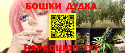 амф Сланцы