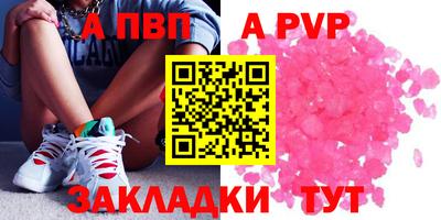 амф Сланцы