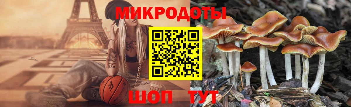Псилоцибиновые грибы мухоморы  что такое наркотик  Балашиха  Вход с VPN 