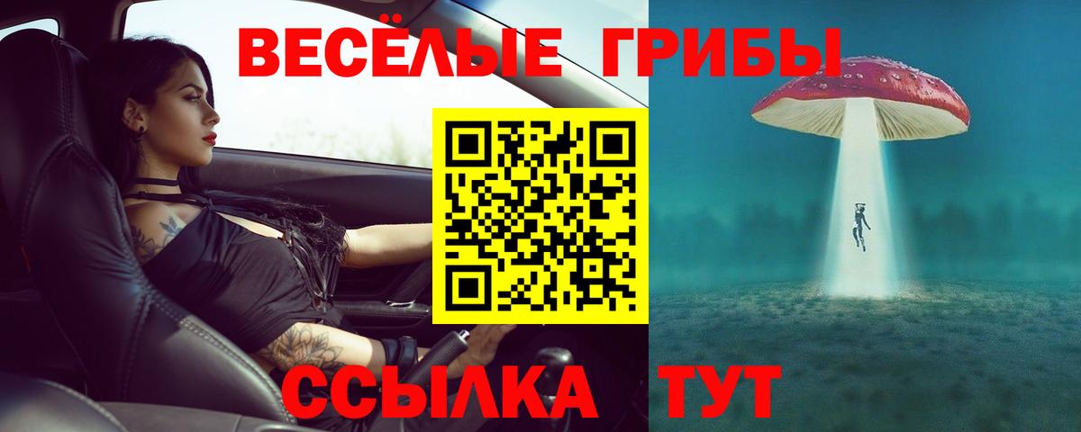 Галлюциногенные грибы MAGIC MUSHROOMS Балашиха